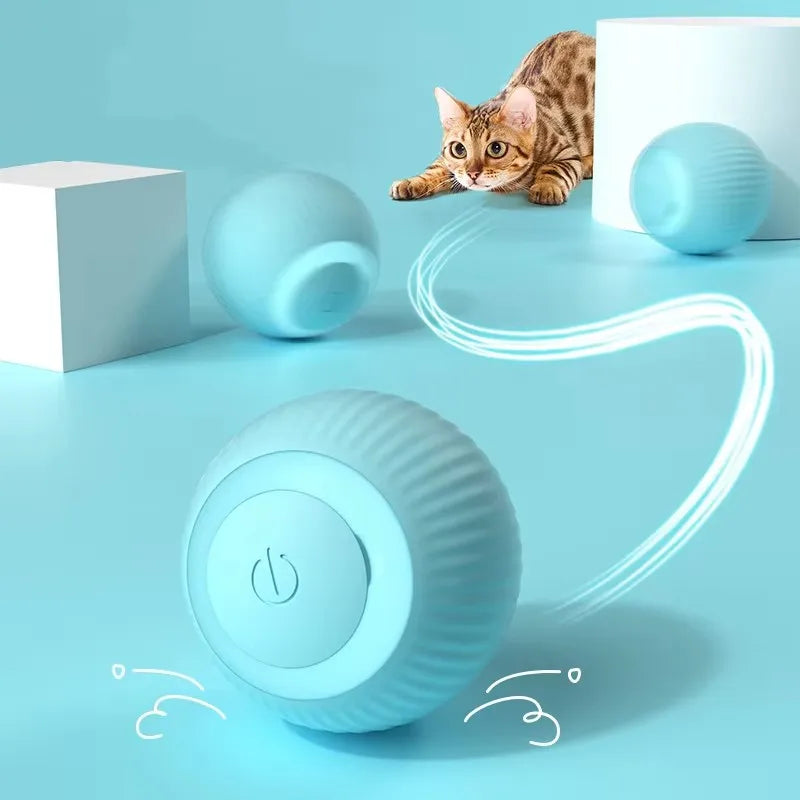 Automatic Rolling Cat Toy Ball for Indoor Cats