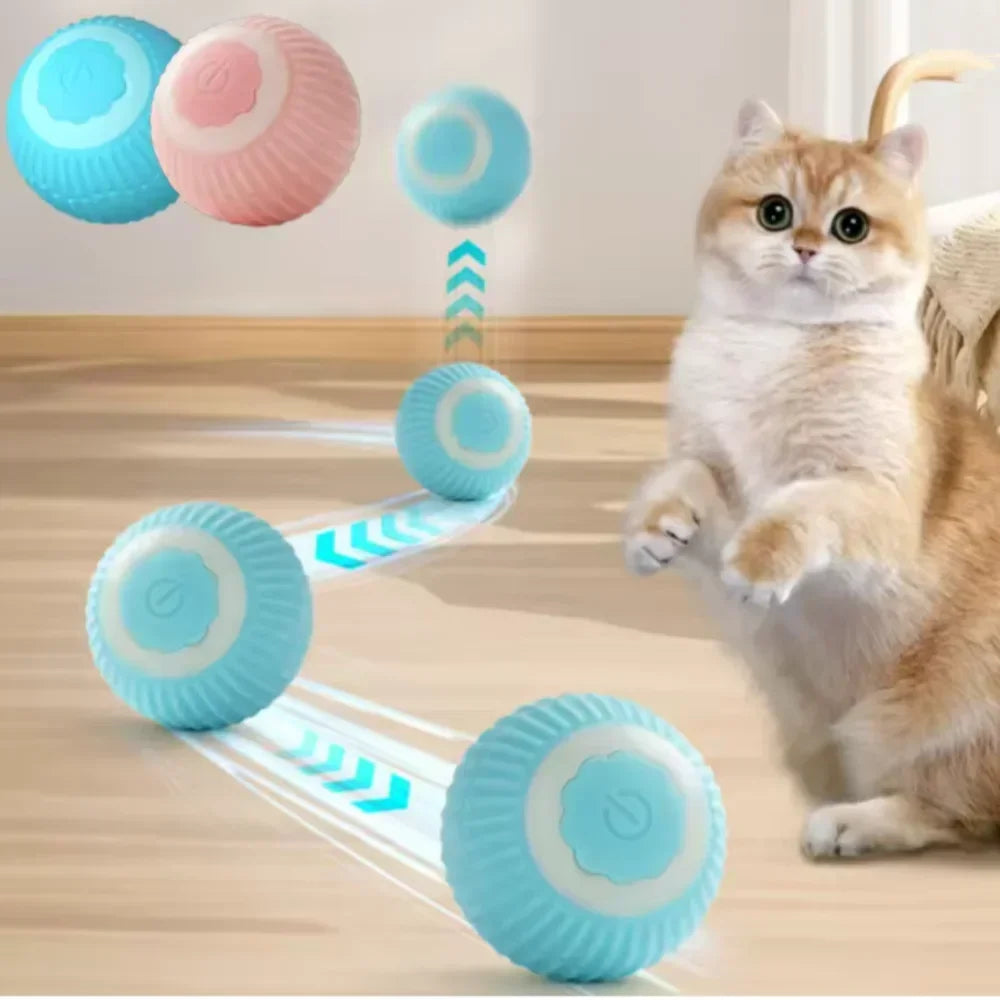 Automatic Rolling Cat Toy Ball for Indoor Cats