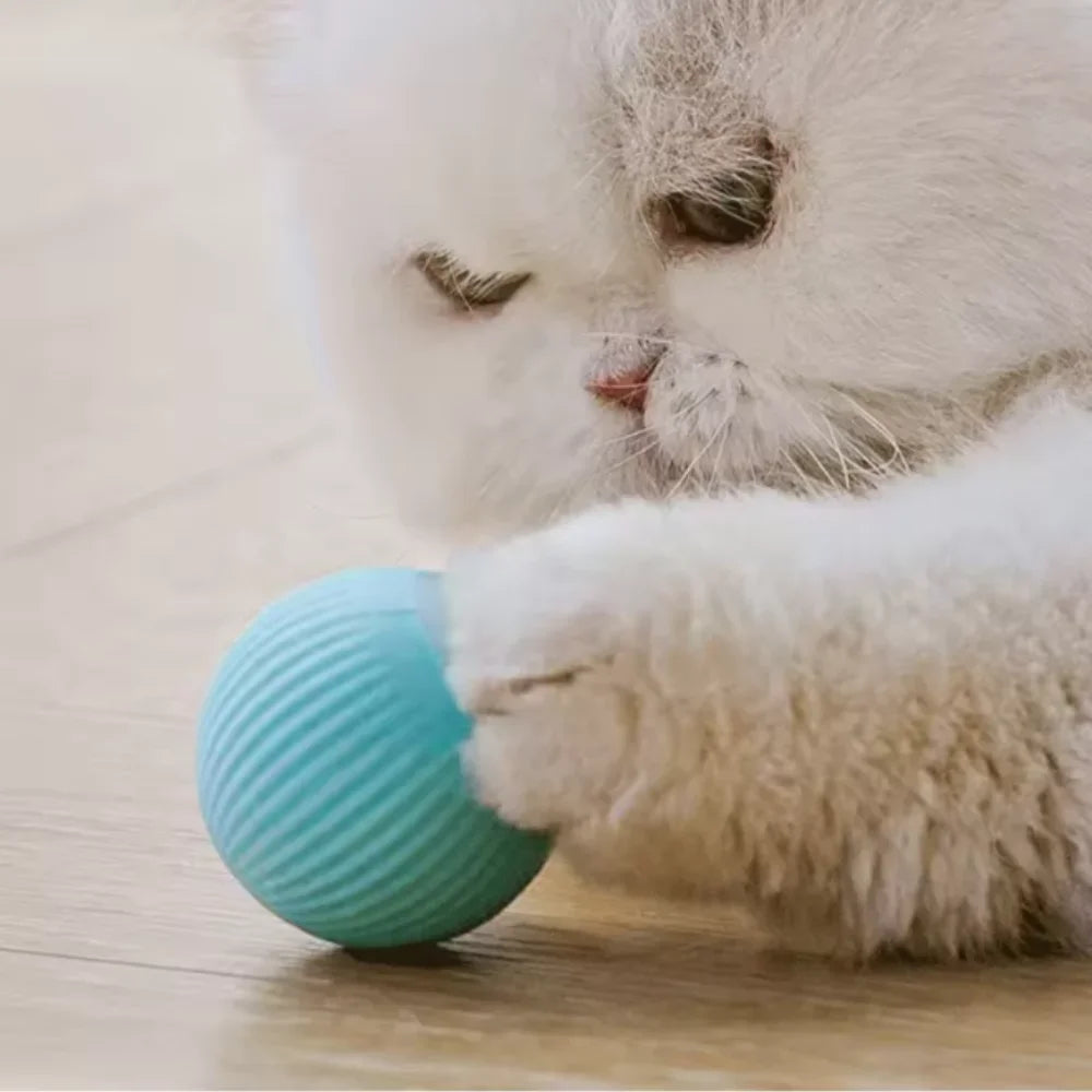 Automatic Rolling Cat Toy Ball for Indoor Cats